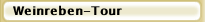 Weinreben-Tour